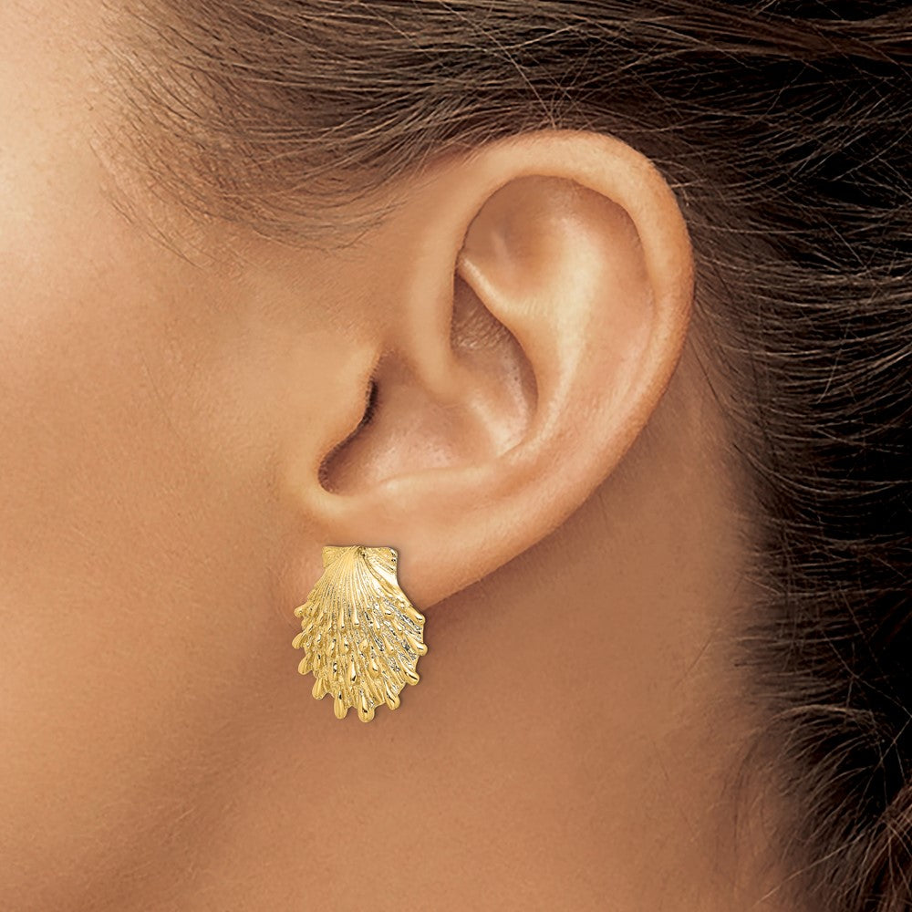 14K Lion's Paw Shell Post Earrings