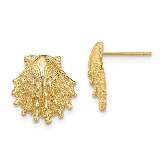 14K Lion's Paw Shell Post Earrings