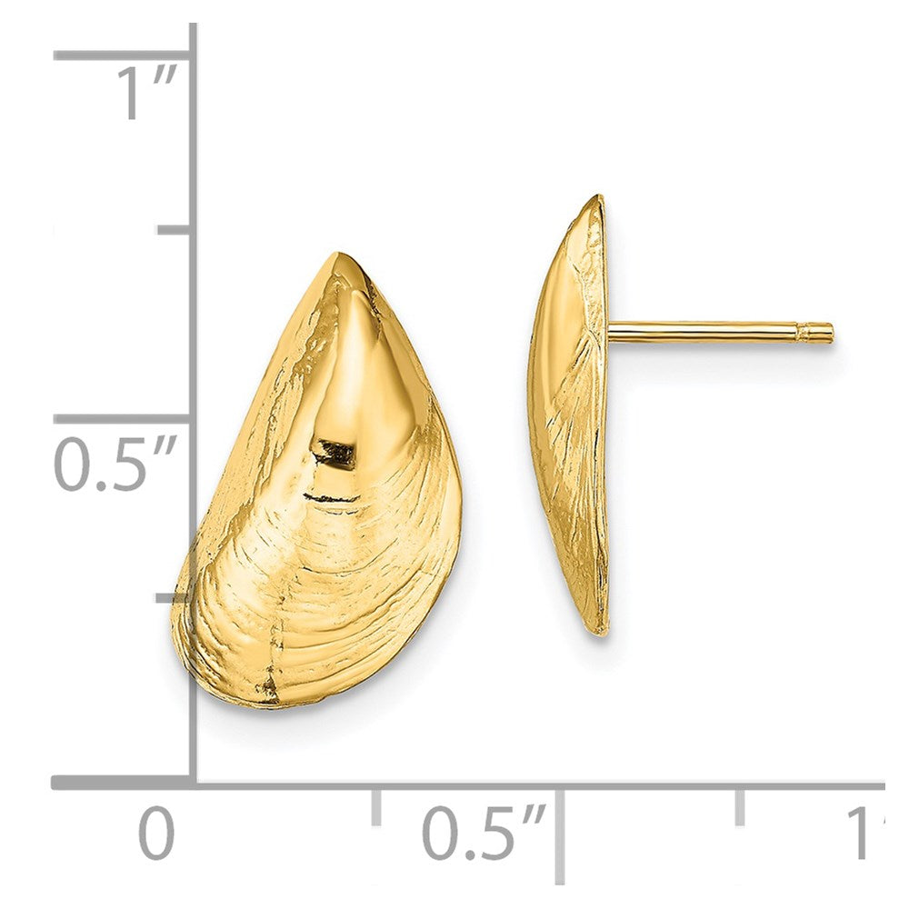 14K Mussel Shell Post Earrings