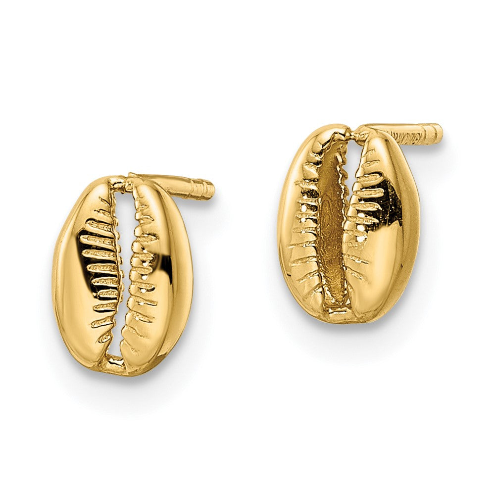 14k Polished Shell Post Earrings