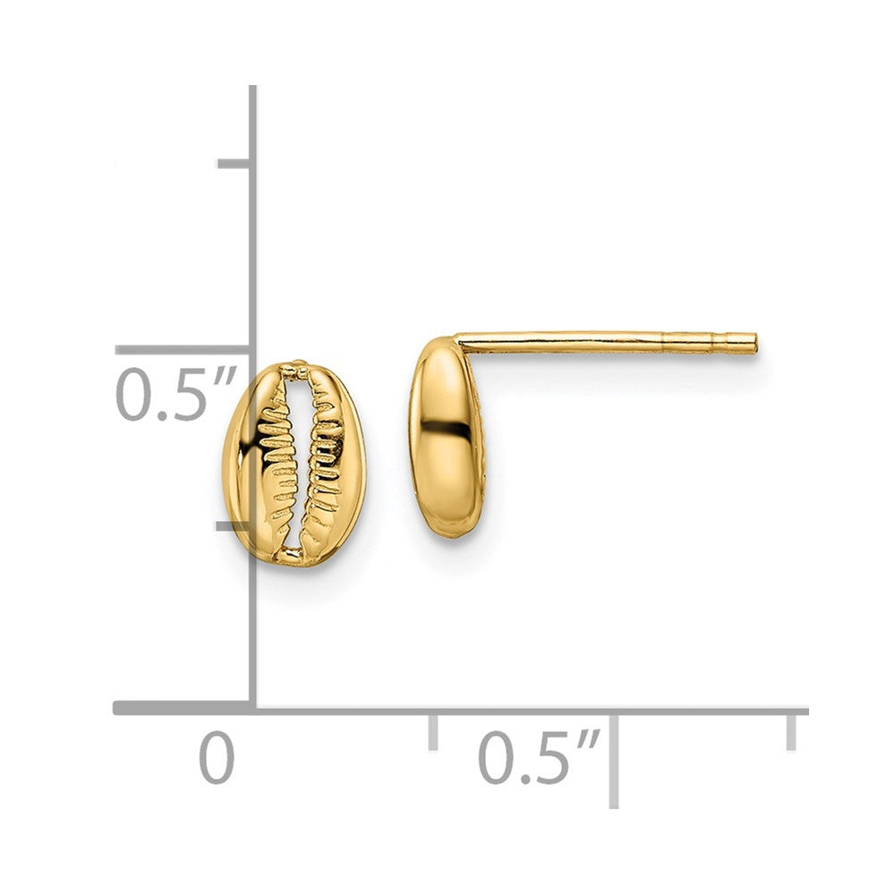 14k Polished Shell Post Earrings