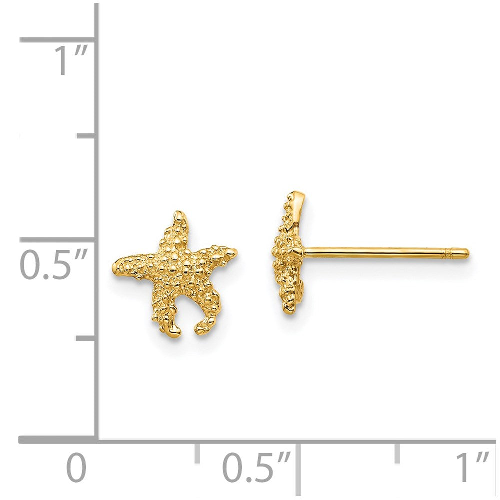 14K Yellow Gold Polished and Textured Starfish Post Earrings