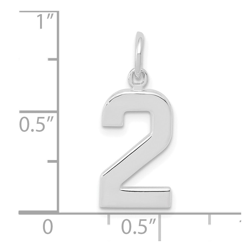 14kw  Medium Polished Number 2 Charm