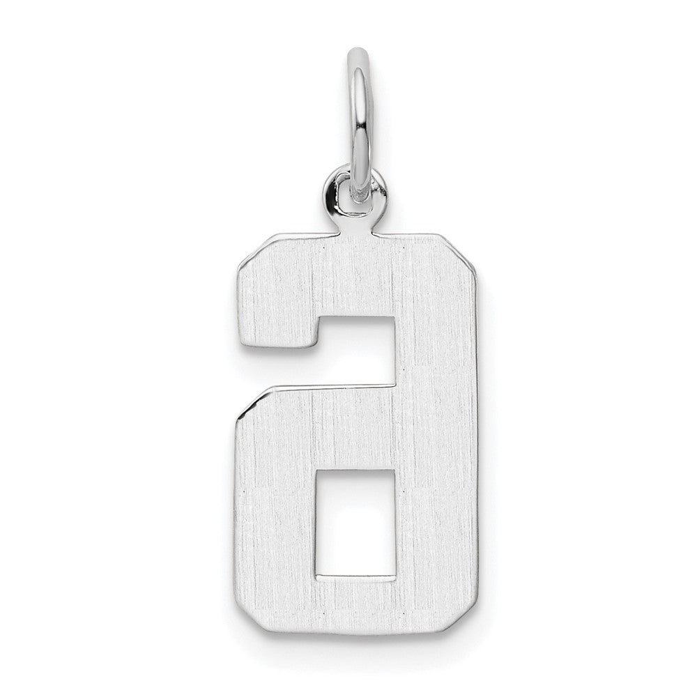 14k White Gold Medium Polished Number 6 Charm