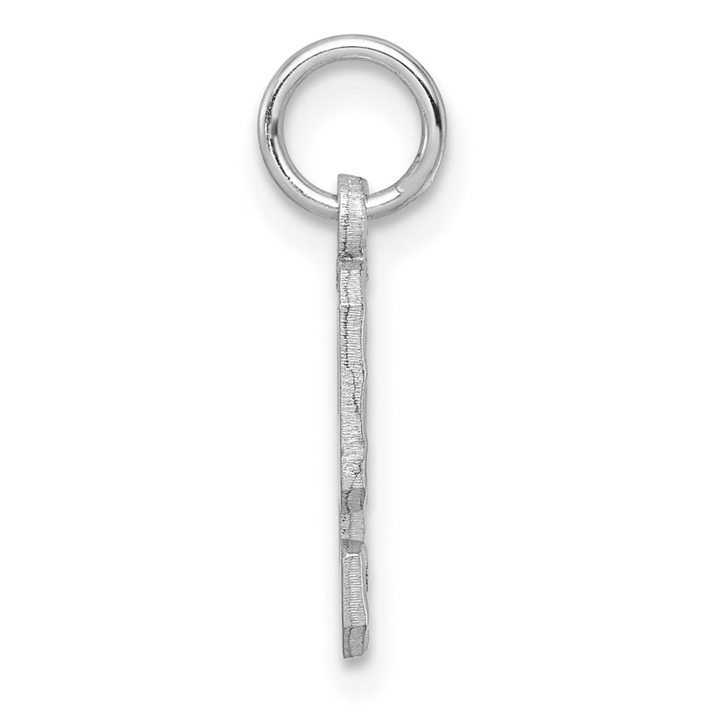 14k White Gold Small Brushed Diamond-cut Number 9 Charm