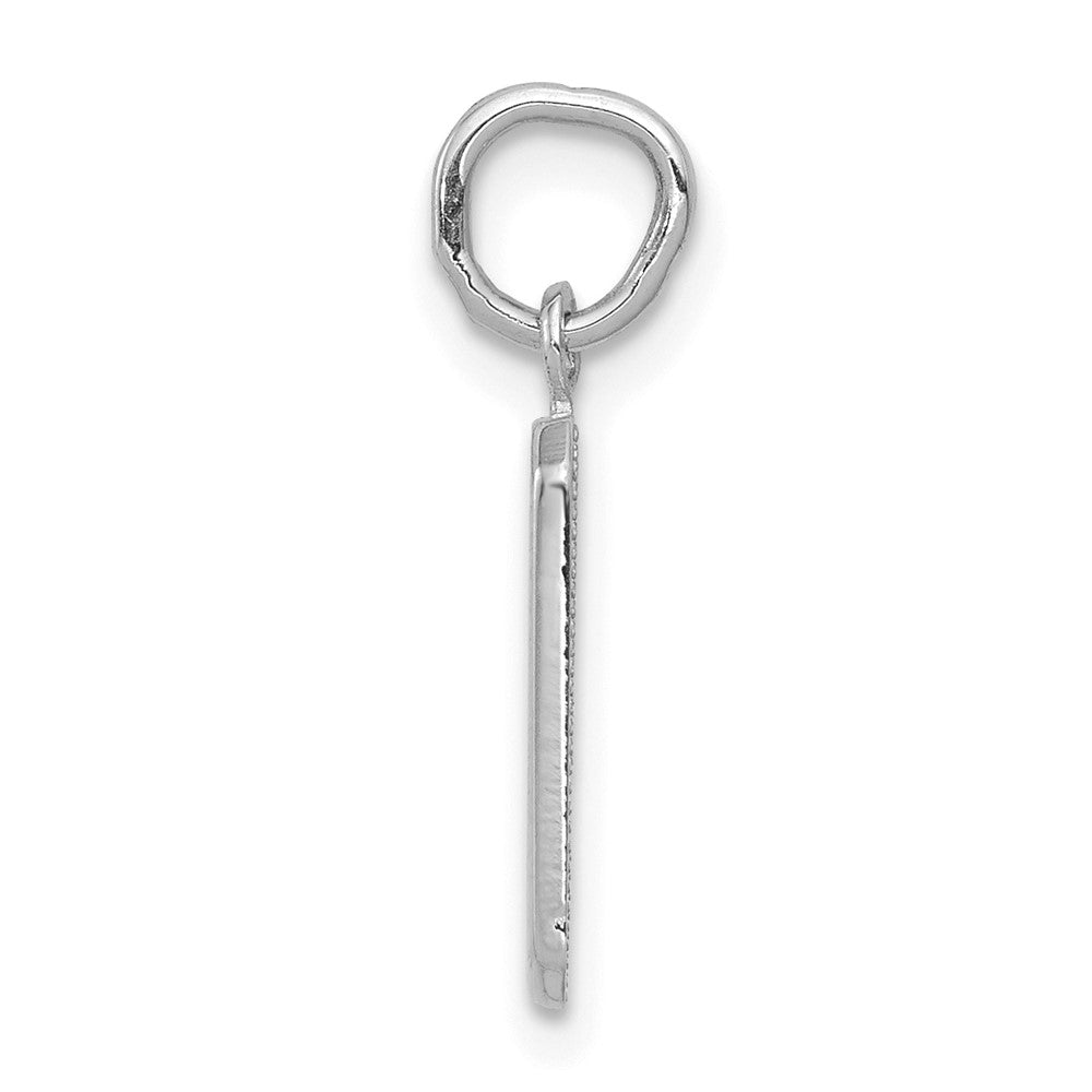 14k White Gold Small Polished Number 9 Charm