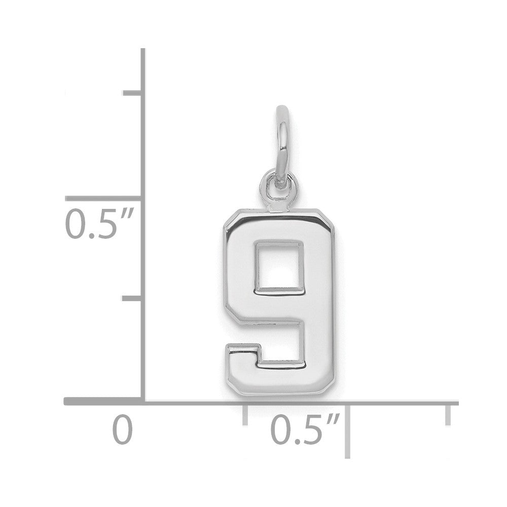 14k White Gold Small Polished Number 9 Charm