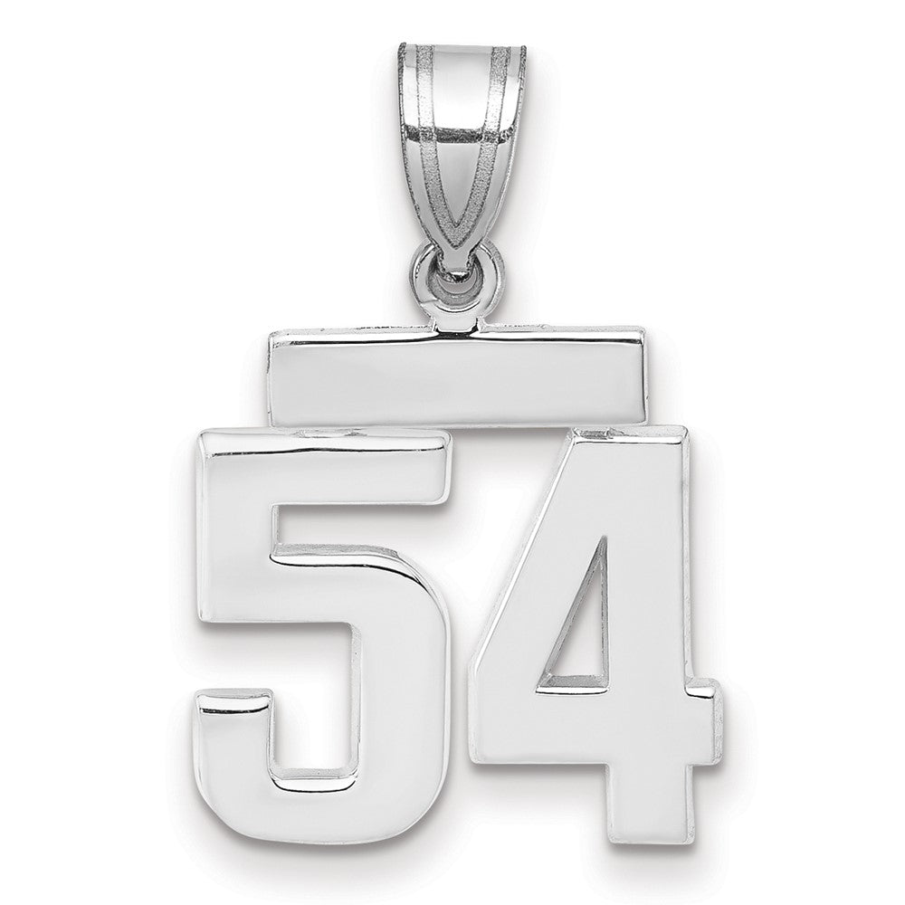 14k White Gold Small Polished Number 54 Charm
