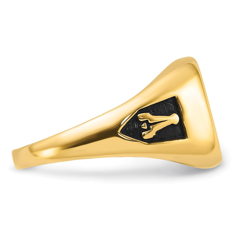 14k Men's Polished and Textured with Black Enamel and Lab Created Ruby Masonic Ring