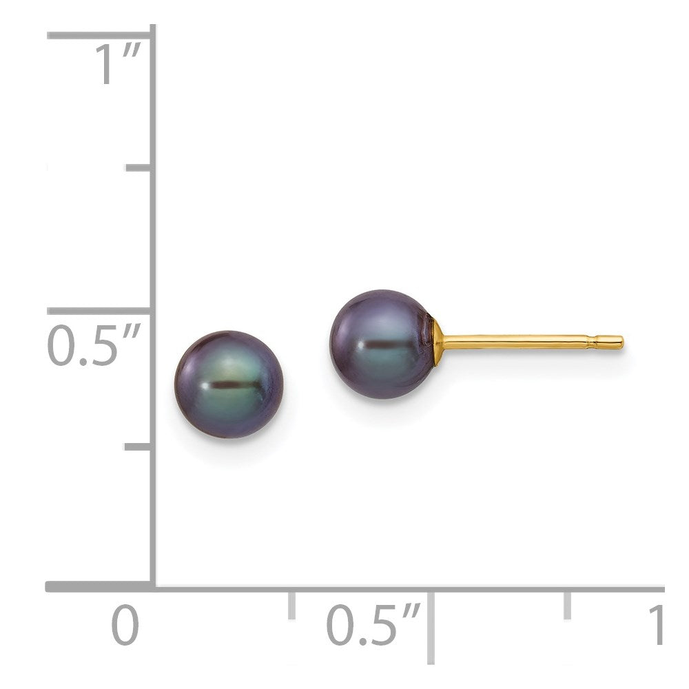 14k Yellow Gold 5-6mm Black Round Freshwater Cultured Pearl Stud Post Earrings