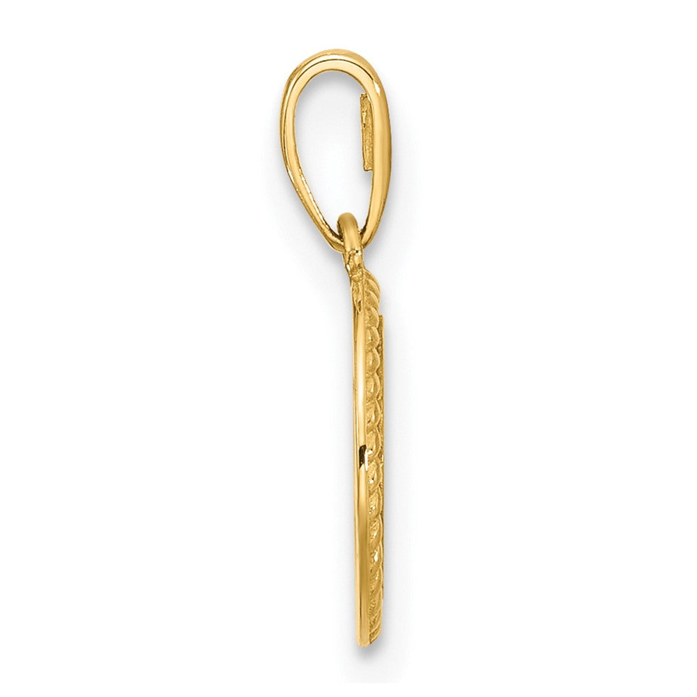 14K Polished Round with Rope Border Charm
