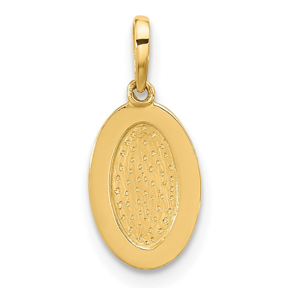 14K Polished Oval with Rope Border Charm