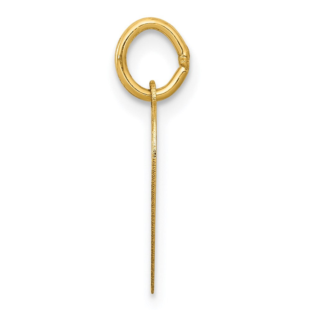 14K Yellow Gold Special Sister Charm