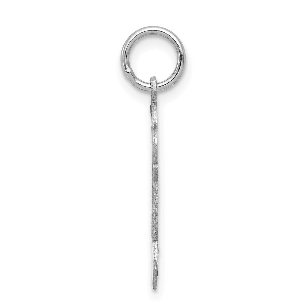 14k White Gold Charm