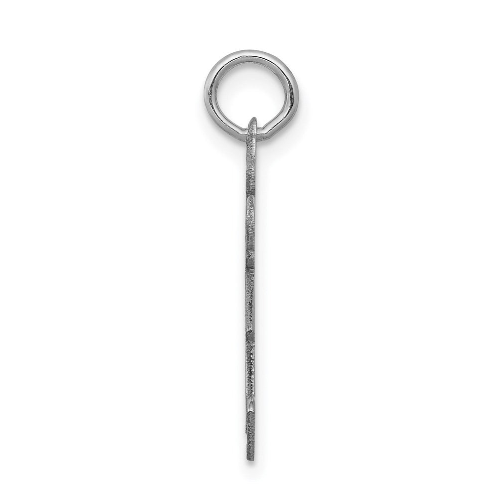 14k White Gold Charm