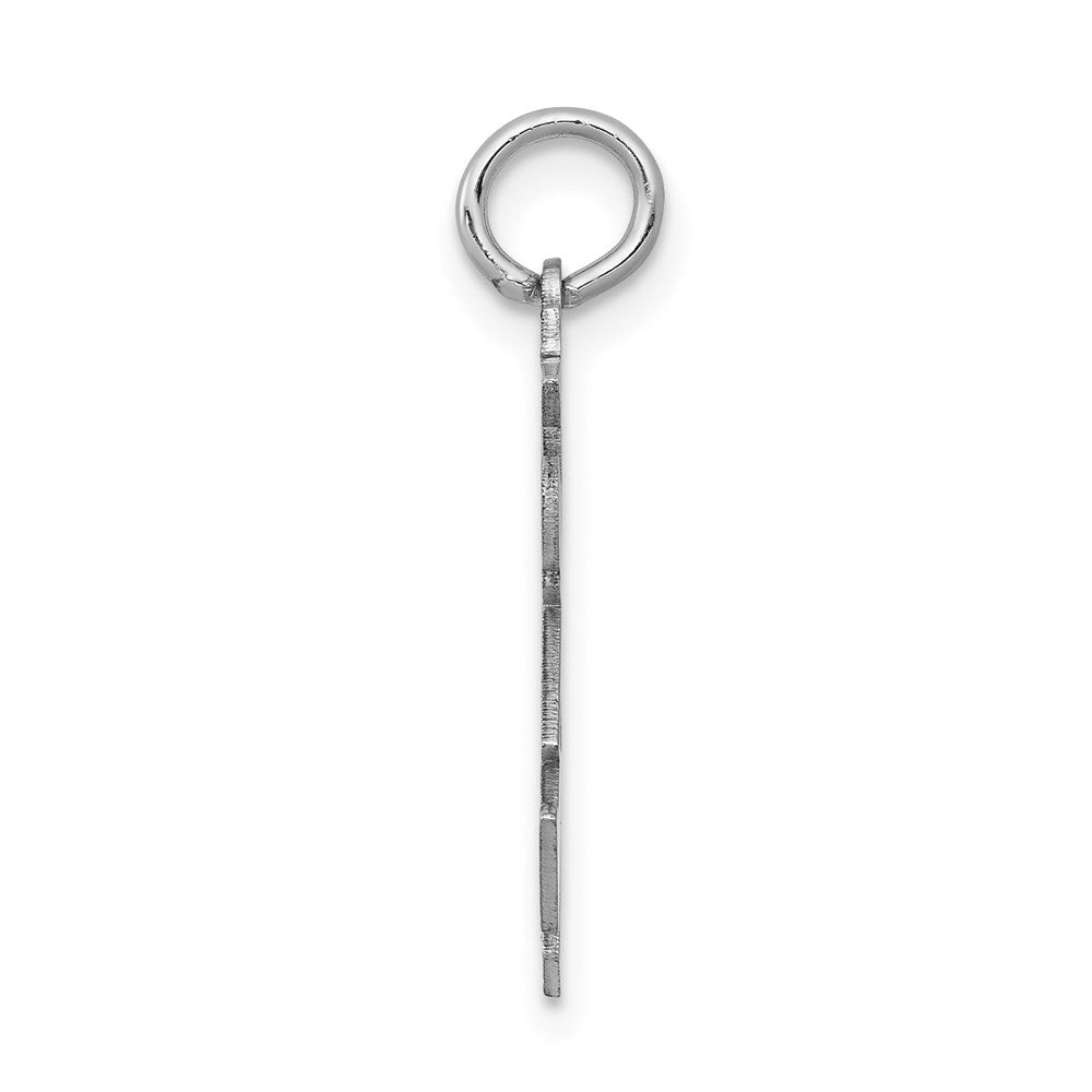 14k White Gold Charm