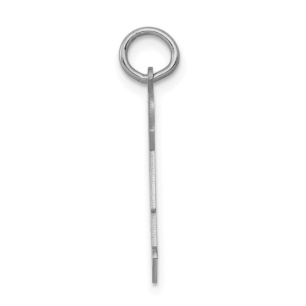 14k White Gold Charm