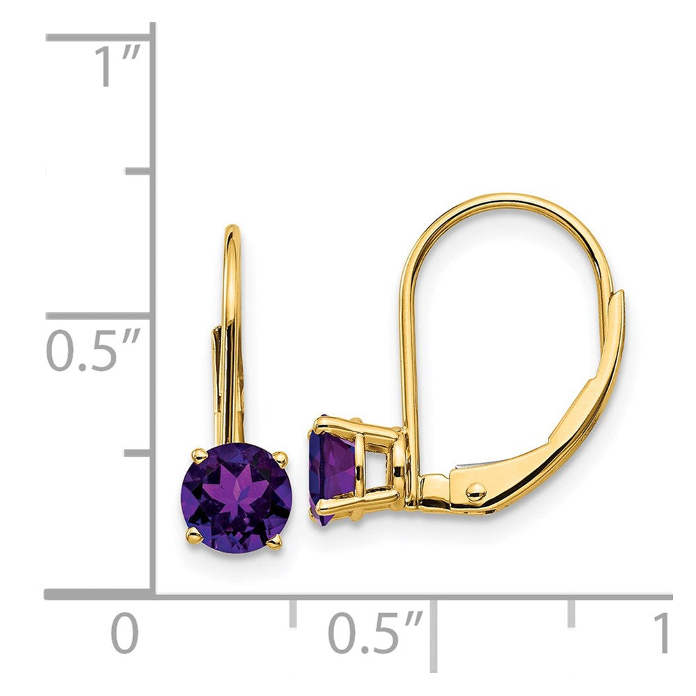 14k 5mm Amethyst Leverback Earrings