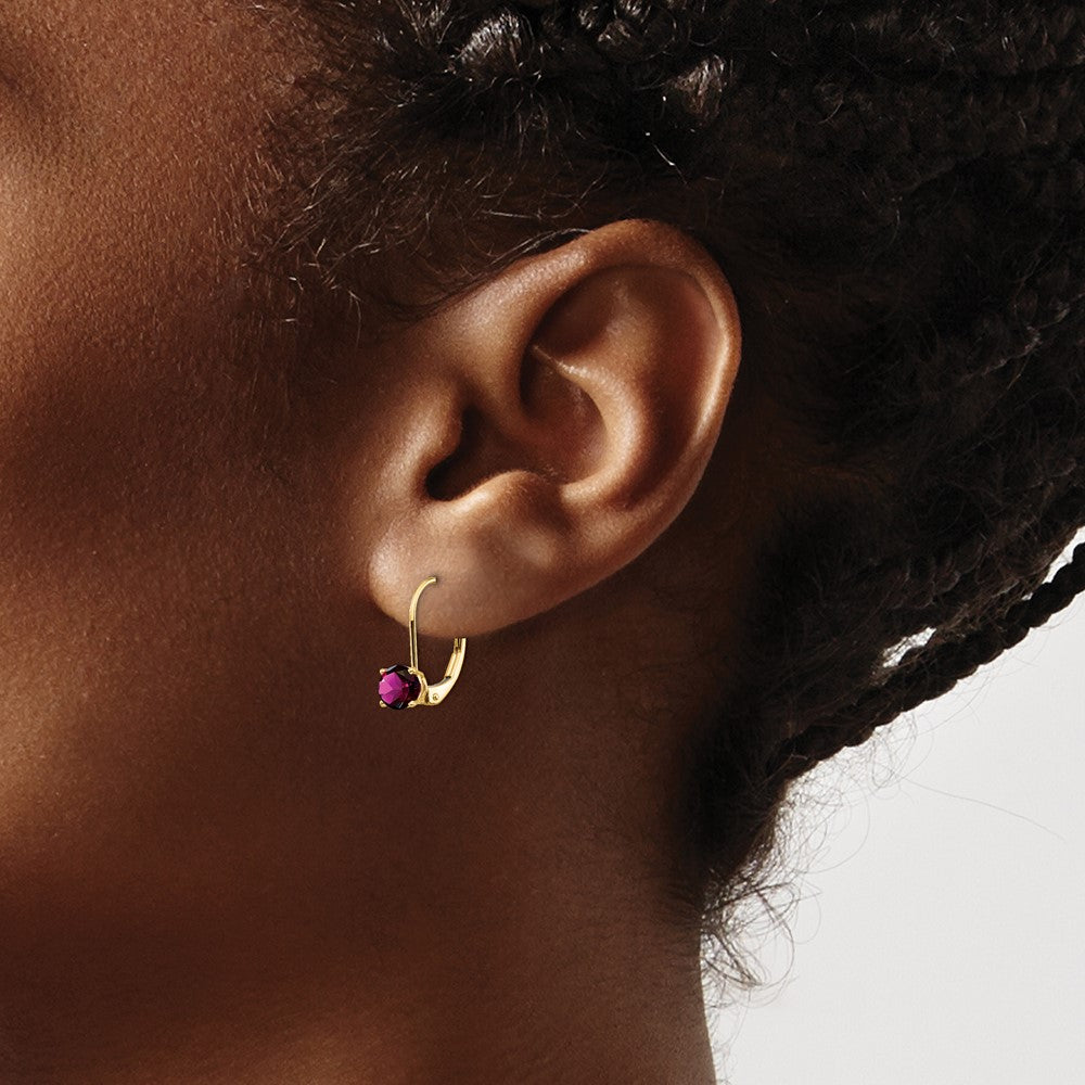 14k 5mm Rhodolite Garnet Leverback Earrings