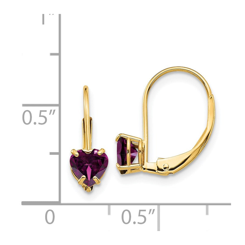 14k 5mm Heart Rhodolite Garnet Leverback Earrings