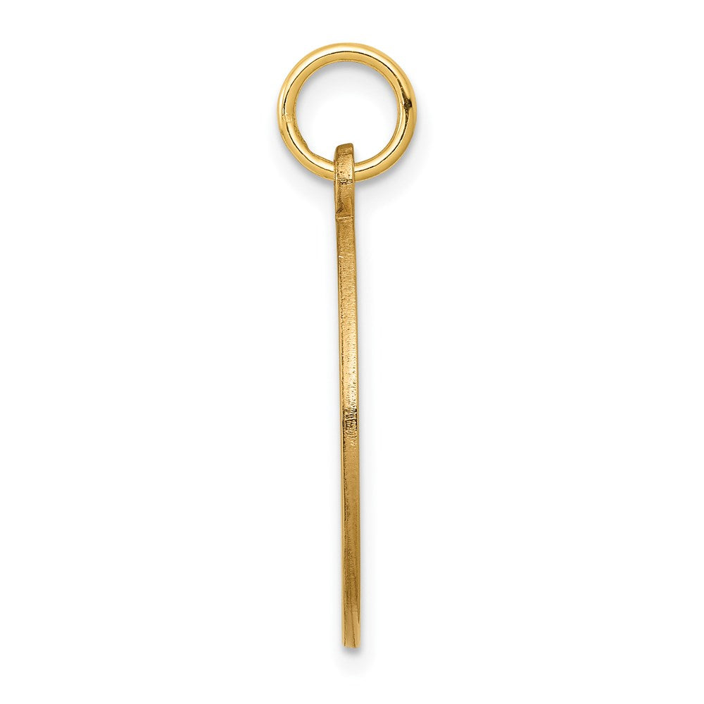 14k Yellow Gold Red Enamel Medical Jewelry Pendant