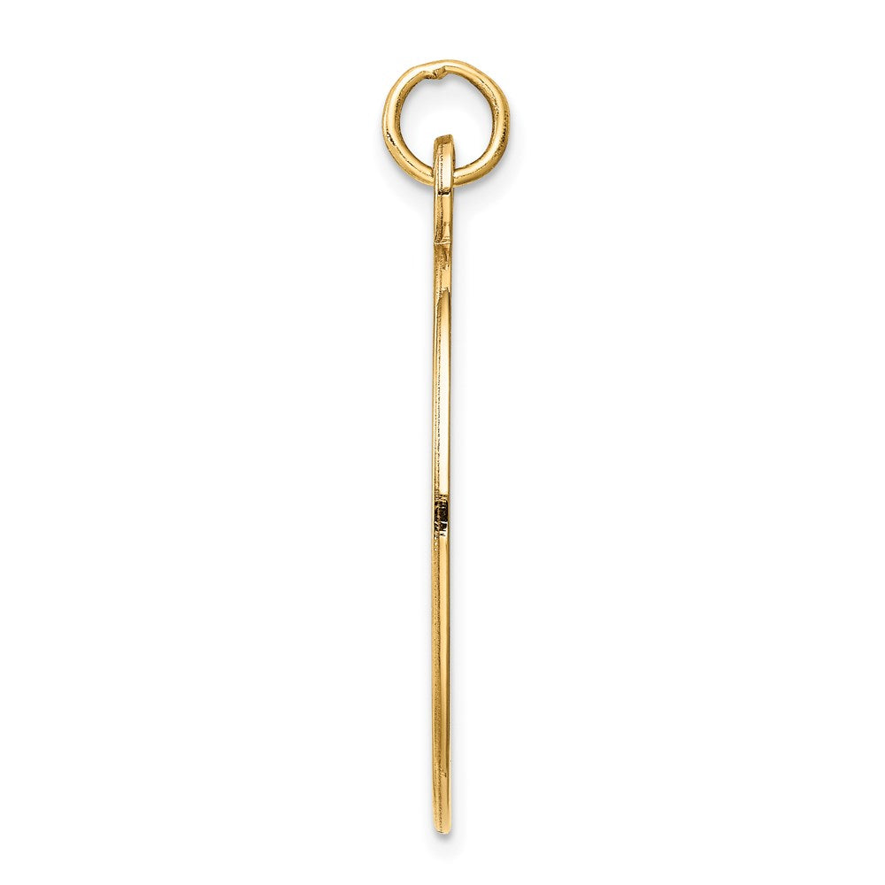 14k Yellow Gold Non-enameled Medical Jewelry Pendant
