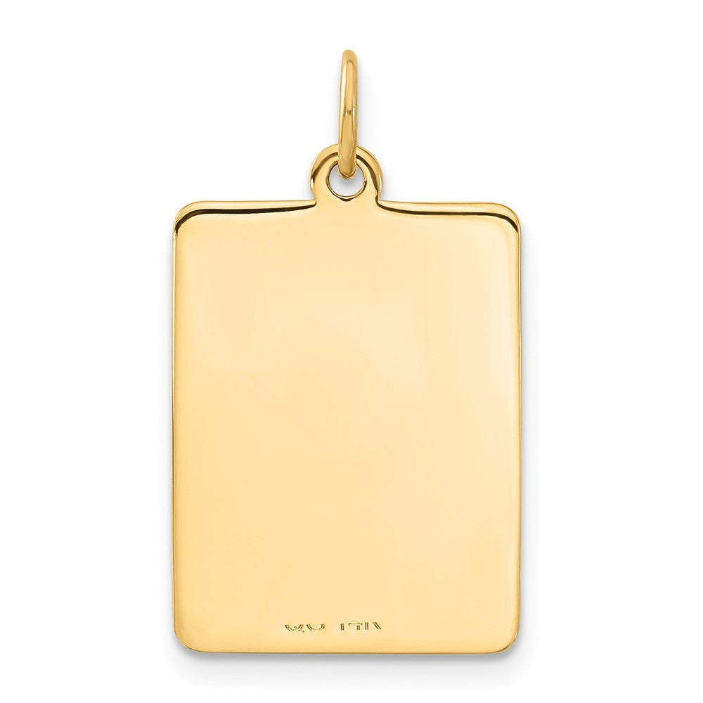 14k Red Enamel Medical Jewelry Pendant