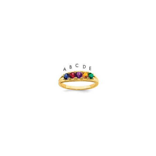 14k Family Jewelry Ring