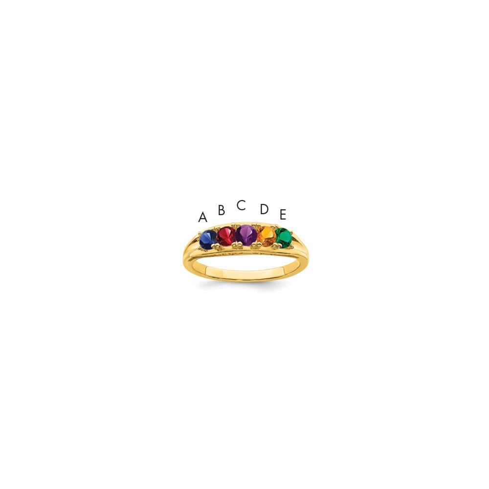 14k White Gold Synthetic Family Jewelry Ring
