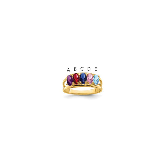 14k Family Jewelry Ring