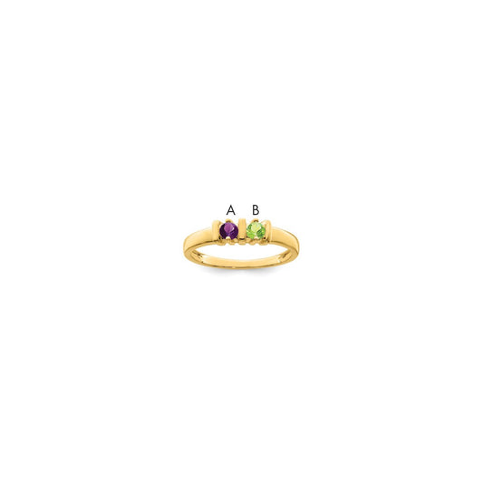 14k Synthetic Family Jewelry Ring