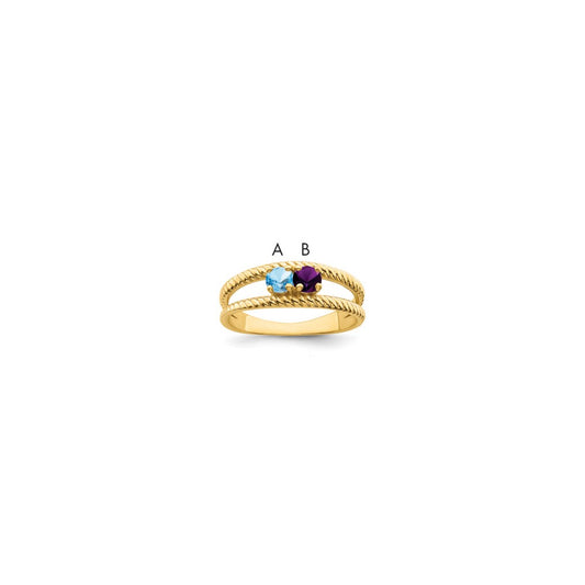 14k Family Jewelry Ring