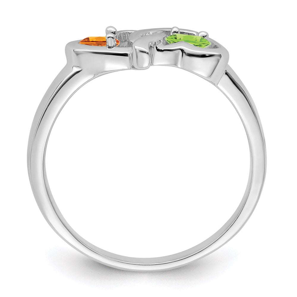 14k White Gold Genuine Family Jewelry Ring