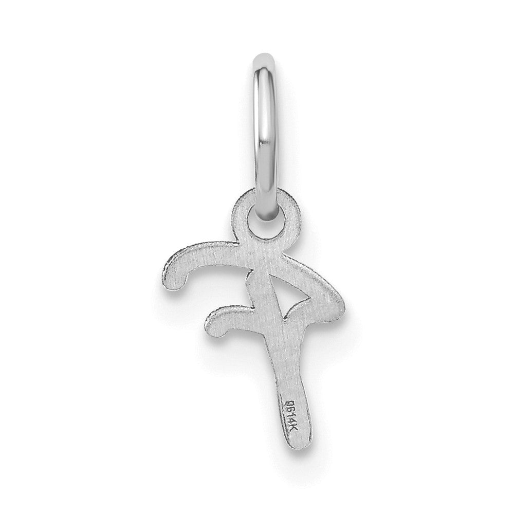 10KW Upper case Letter F Initial Charm