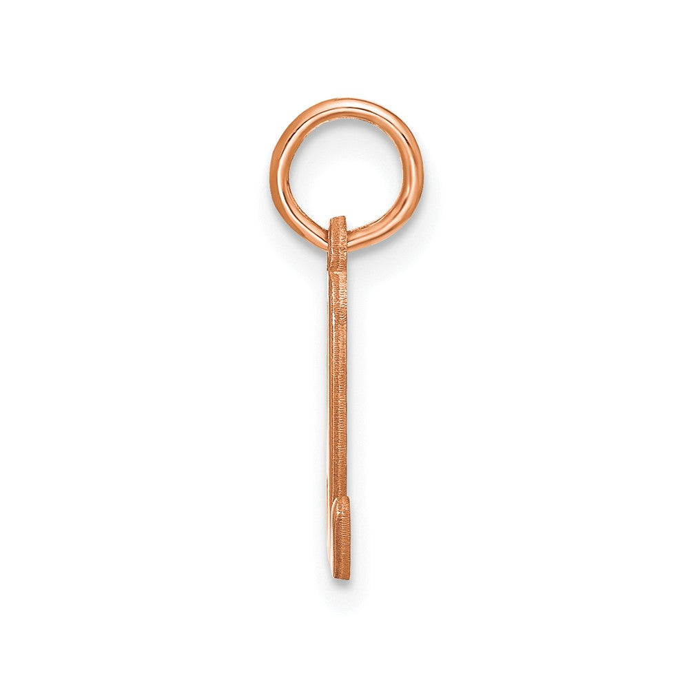 10K Rose Gold Lower case Letter D Initial Charm