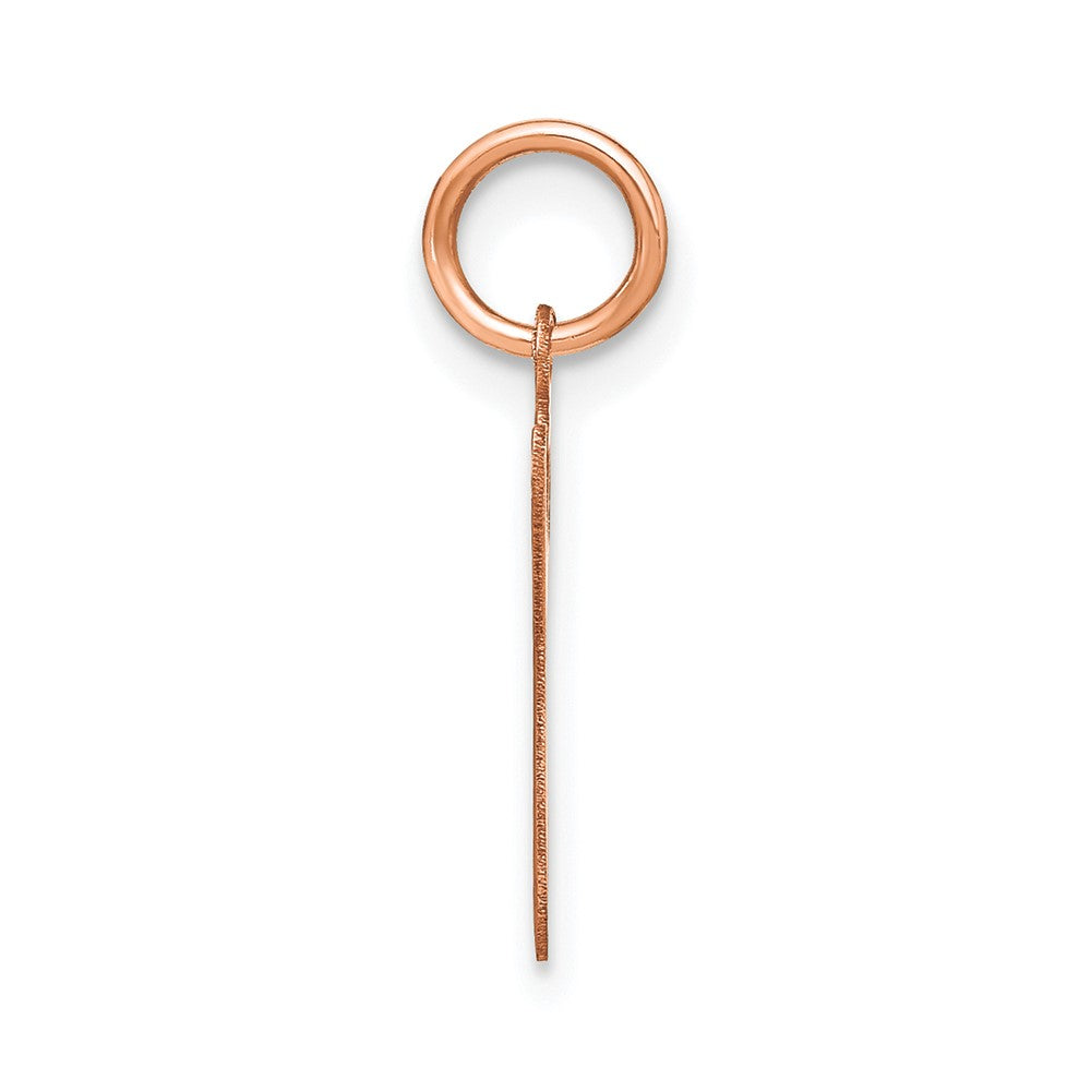 10K Rose Gold Lower case Letter G Initial Charm