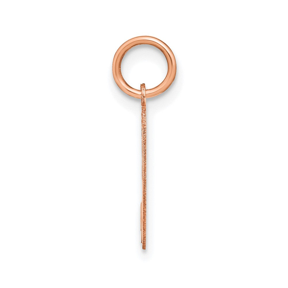 10K Rose Gold Lower case Letter H Initial Charm