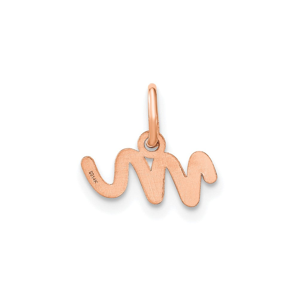 10K Rose Gold Lower case Letter M Initial Charm