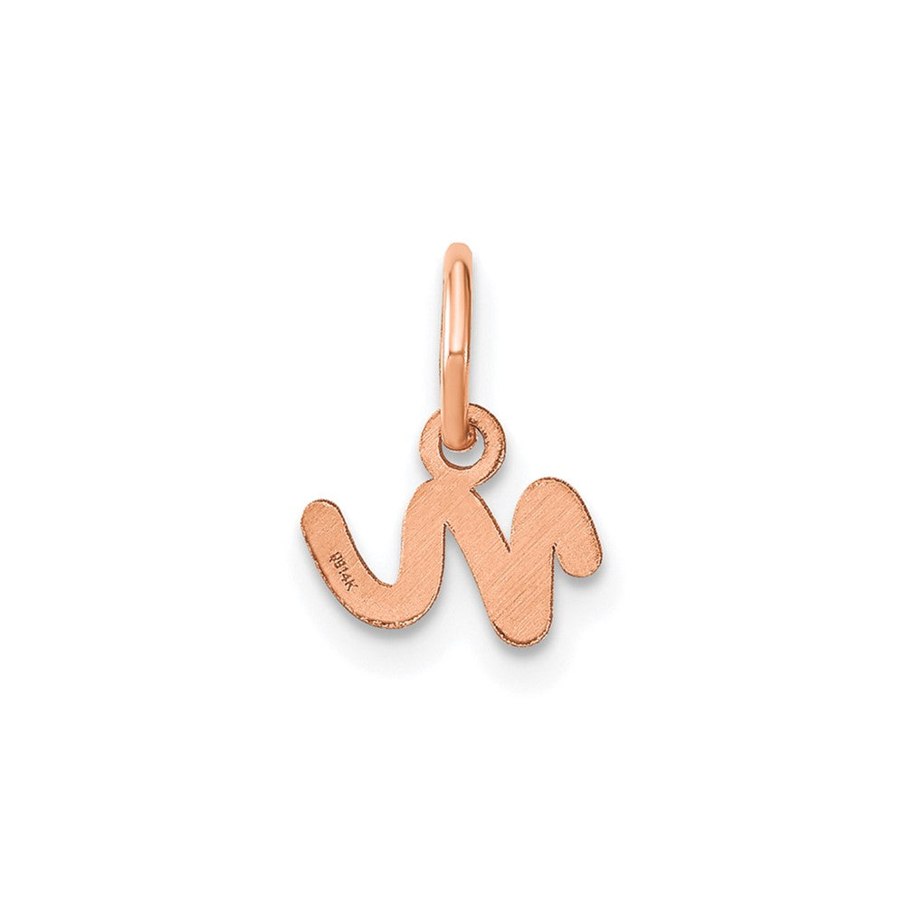 10K Rose Gold Lower case Letter N Initial Charm