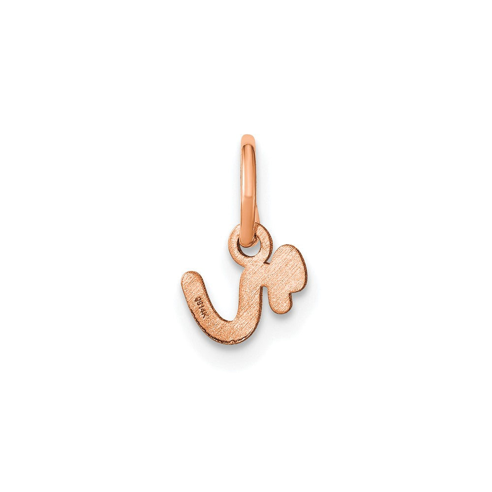 10K Rose Gold Lower case Letter R Initial Charm