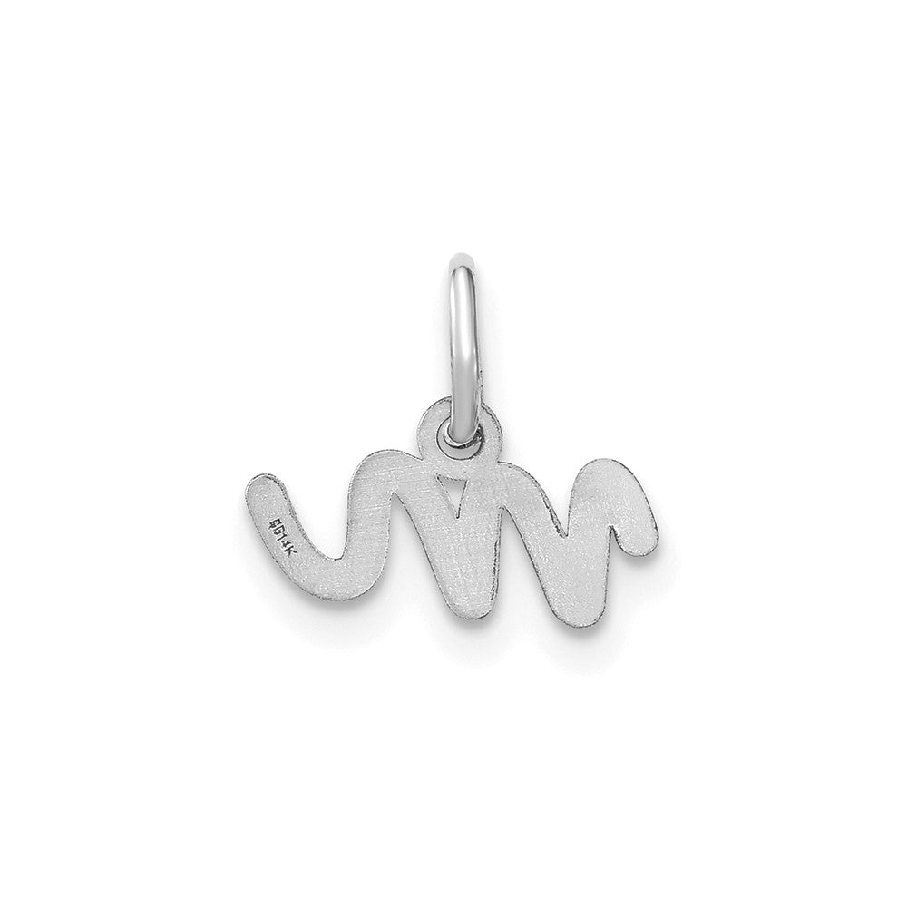 10KW Lower case Letter M Initial Charm