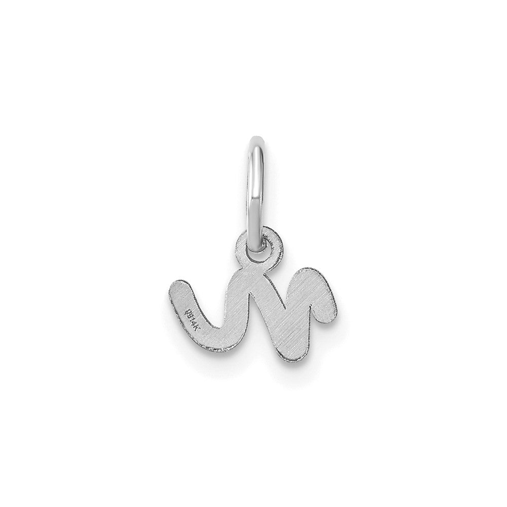 10KW Lower case Letter N Initial Charm