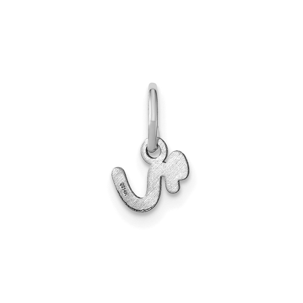 10KW Lower case Letter R Initial Charm