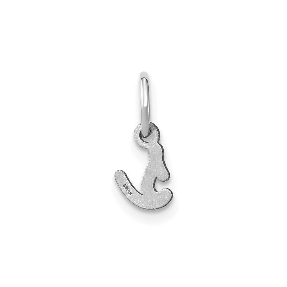 10KW Lower case Letter S Initial Charm