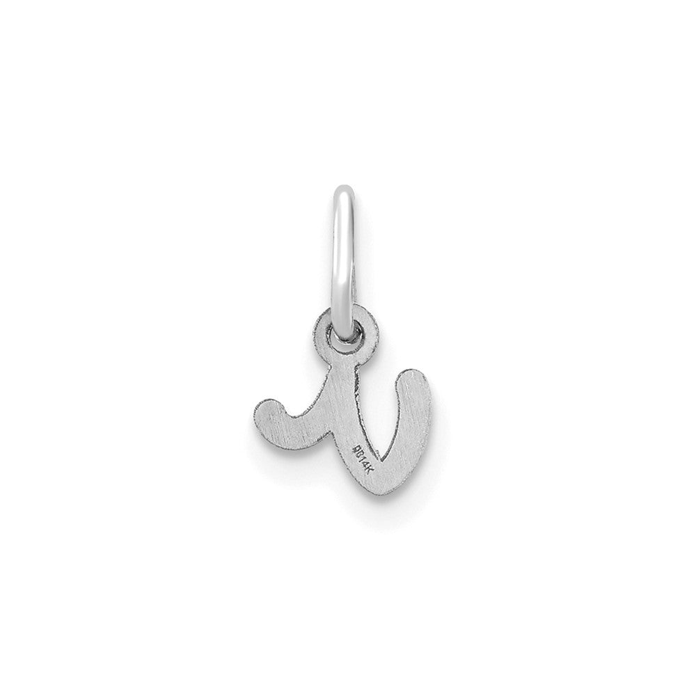 10KW Lower case Letter V Initial Charm