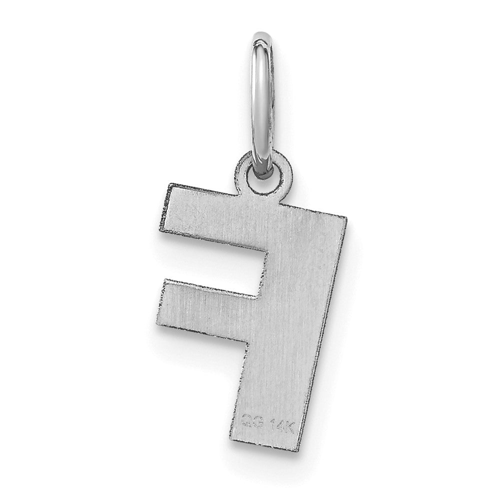 10kw Letter F Initial Pendant