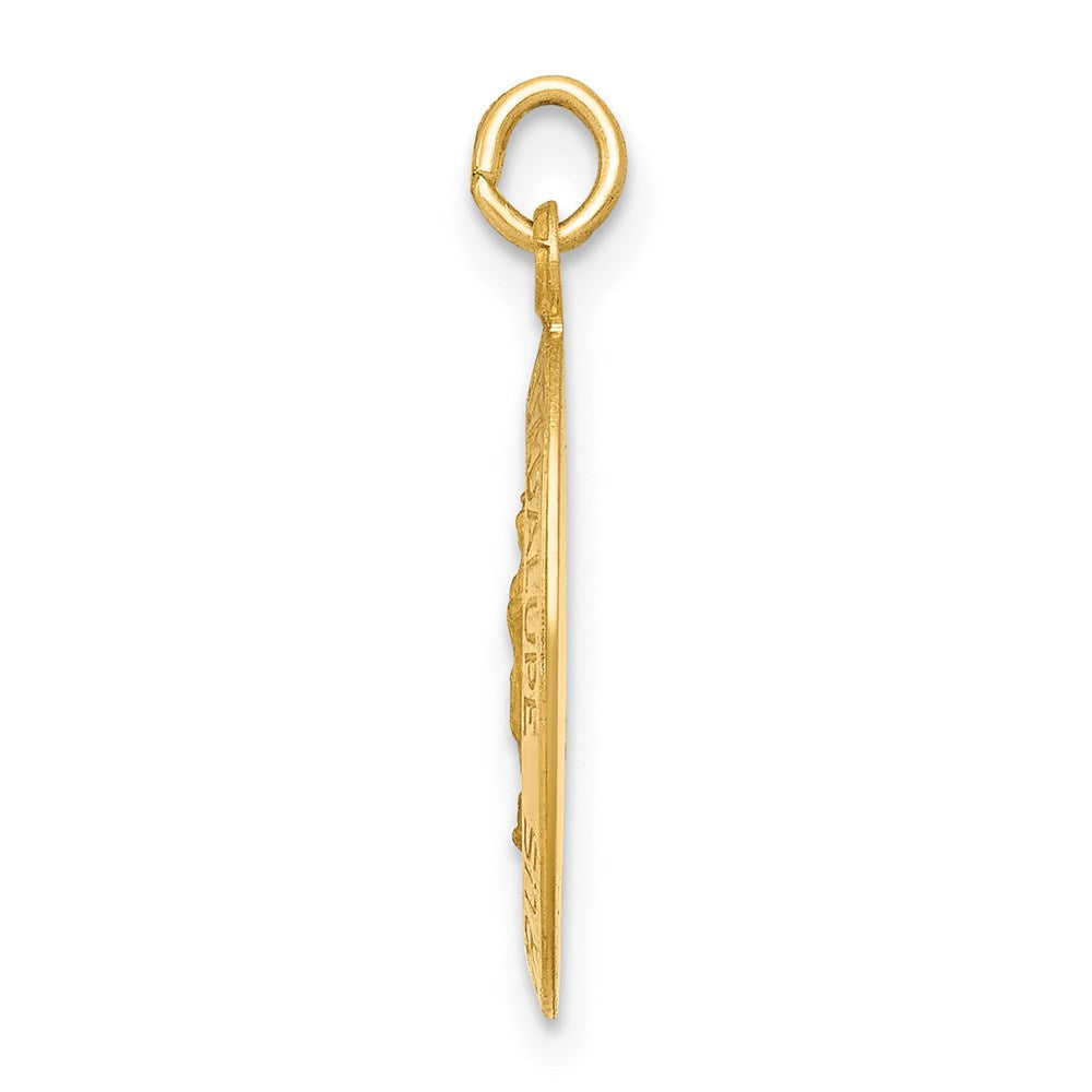 14k Polished and Satin Our of Guadalupe Medal Pendant