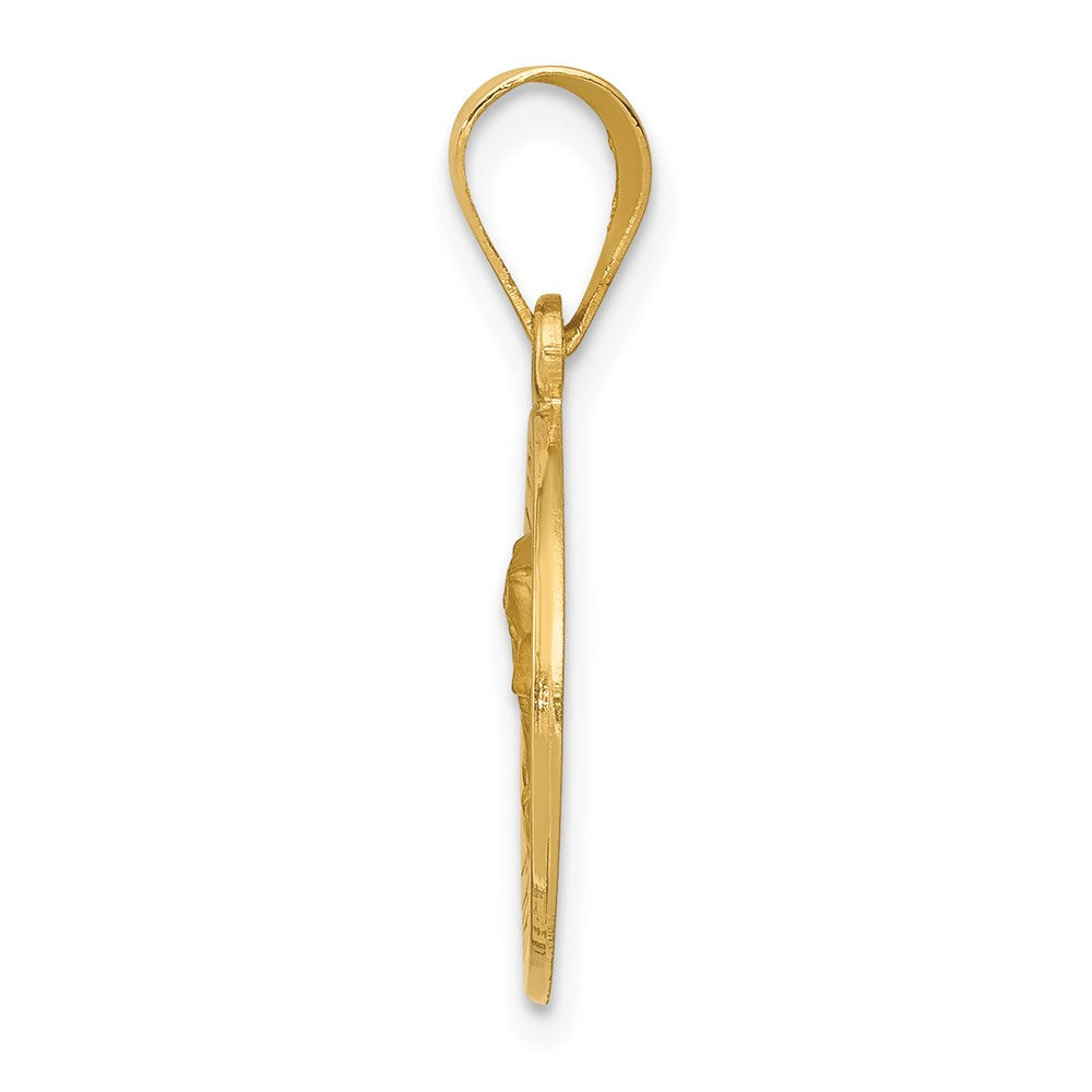 14k Polished and Satin Our of Sorrows Medal Hollow Pendant