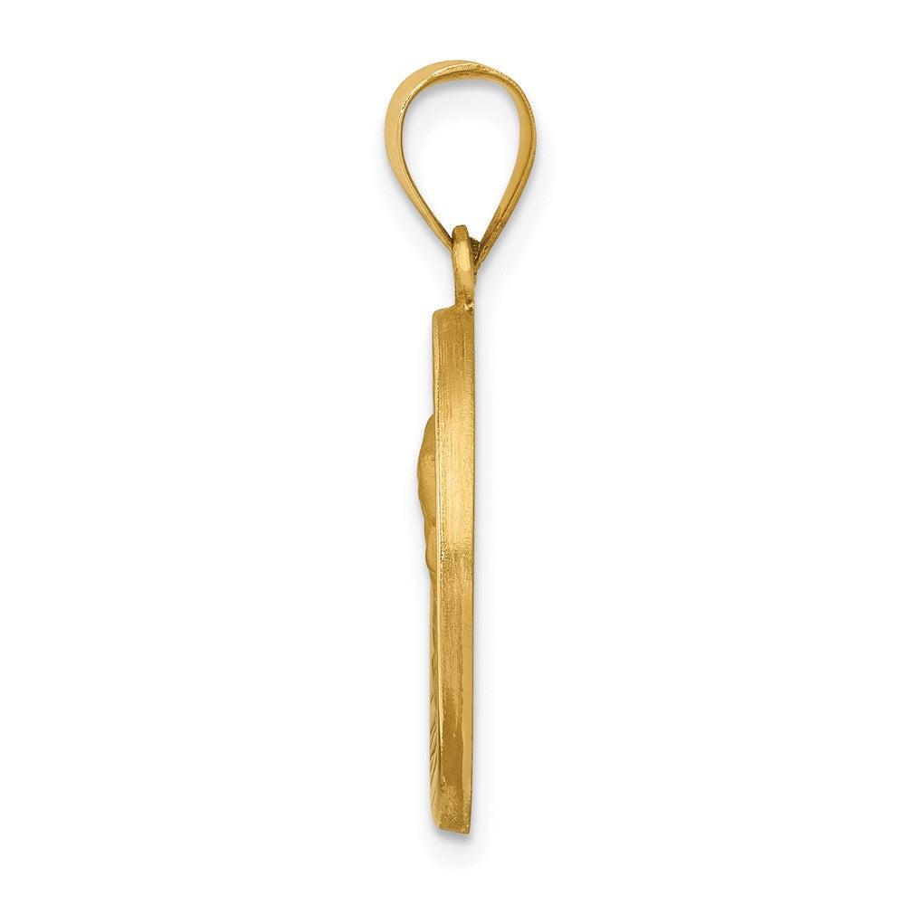 14k Polished and Satin Our of Sorrows Medal Hollow Pendant
