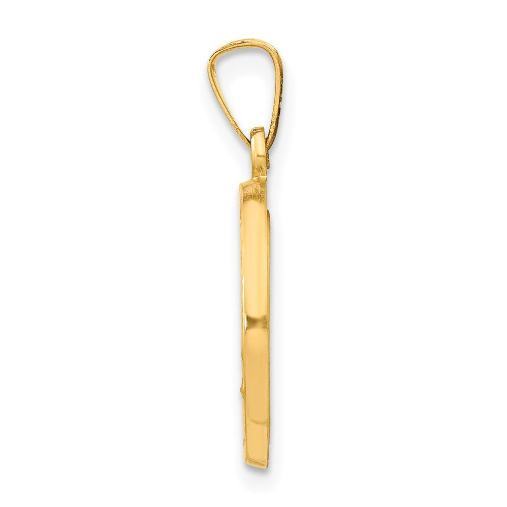 14k Polished and Satin Virgin Mary Medal Hollow Pendant
